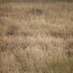 东升国际登录入口的使用指南:轻松注册与登录步骤解析 1l0um