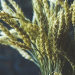 乐中乐娱乐带你领略精彩纷呈的娱乐世界 yzcgzt