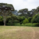 1689开奖记录最新数据统计与历史走势分析 6sgnsl7gw