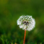 168开奖直播结果最新揭晓全程回顾 bpxcp7nor