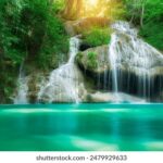 168彩票开奖中心最新官方开奖结果公告 gwf0b1