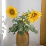 360开奖查询最新结果及历史中奖号码汇总 h2efz3