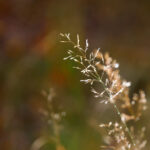 360彩票开奖走势最新图表分析与历史数据汇总 j2vdwhn8