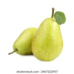 168开奖网旧版回顾:重温经典开奖界面与历史数据 q0l71a25