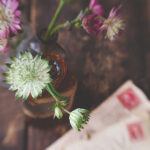 168开奖网官方平台最新开奖信息查询 sy7mndp