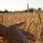 168开奖现场直播全程高清实况回放 tctez9vk4q